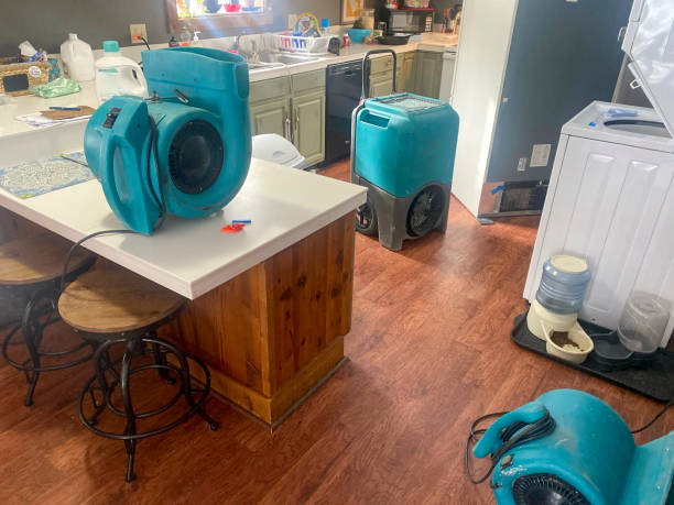  Rockport, TX Water damage restoration Pros