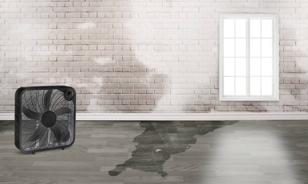 Best Commercial water damage restoration  in Rockport, TX