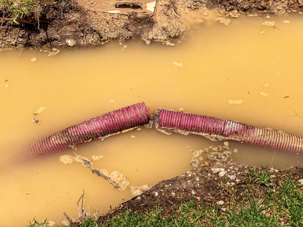 Best Water damage restoration process  in Rockport, TX