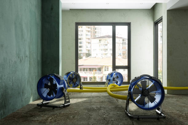 Best Ceiling water damage repair  in Rockport, TX